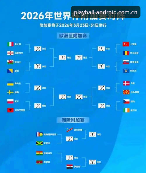 玩球体育使用教程安卓版 2026世界杯观赛体验深度评测:签证危机下的“冷场”现象